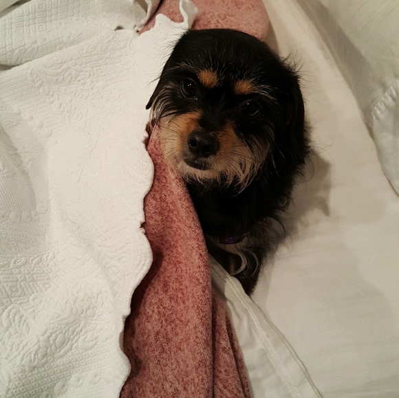 Meet your Posher, Yasmin - Picture 1 of 1